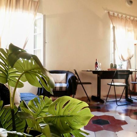 Santamarta35 Apartment ปิซา ภายนอก รูปภาพ